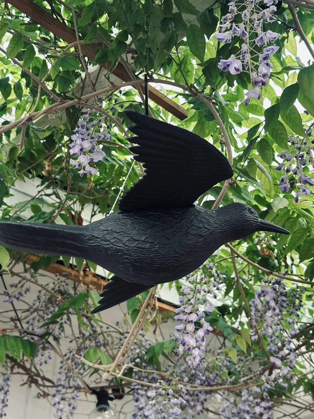 Vogel - RAVEN BLACK