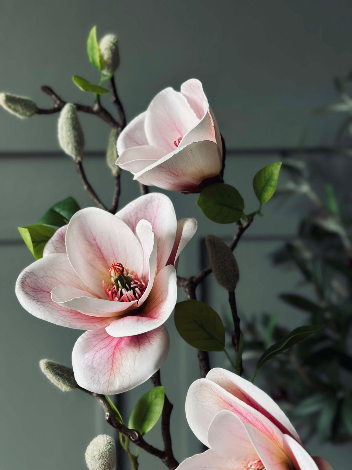Bloem Magnolia - Roze
