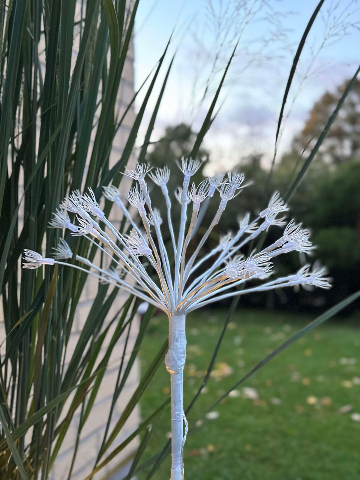LED sterren op prikker
