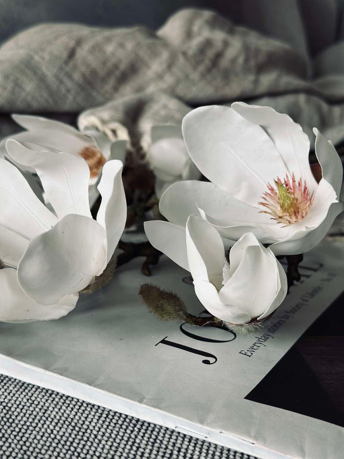 Bloem Magnolia - Wit 88 cm