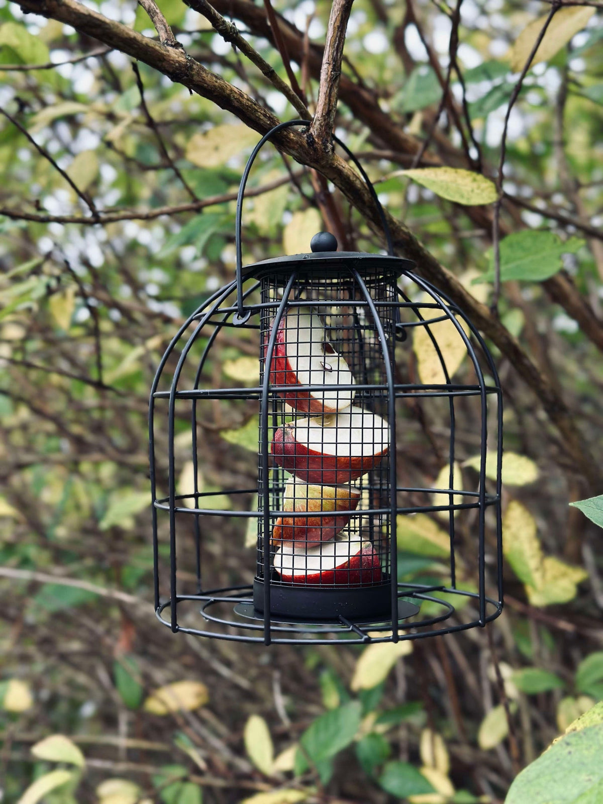 Vogelhuis zwart metaal