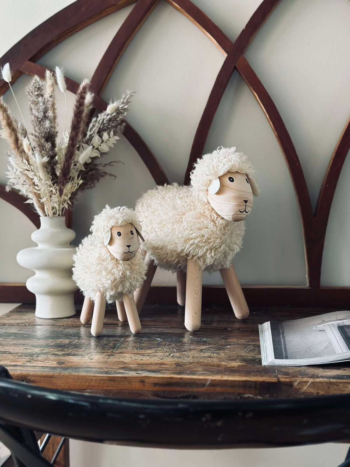 Schaap met langharige vacht - Naturel