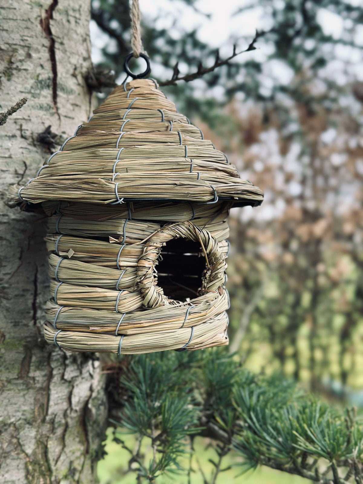 Vogelhuisje met ophanging