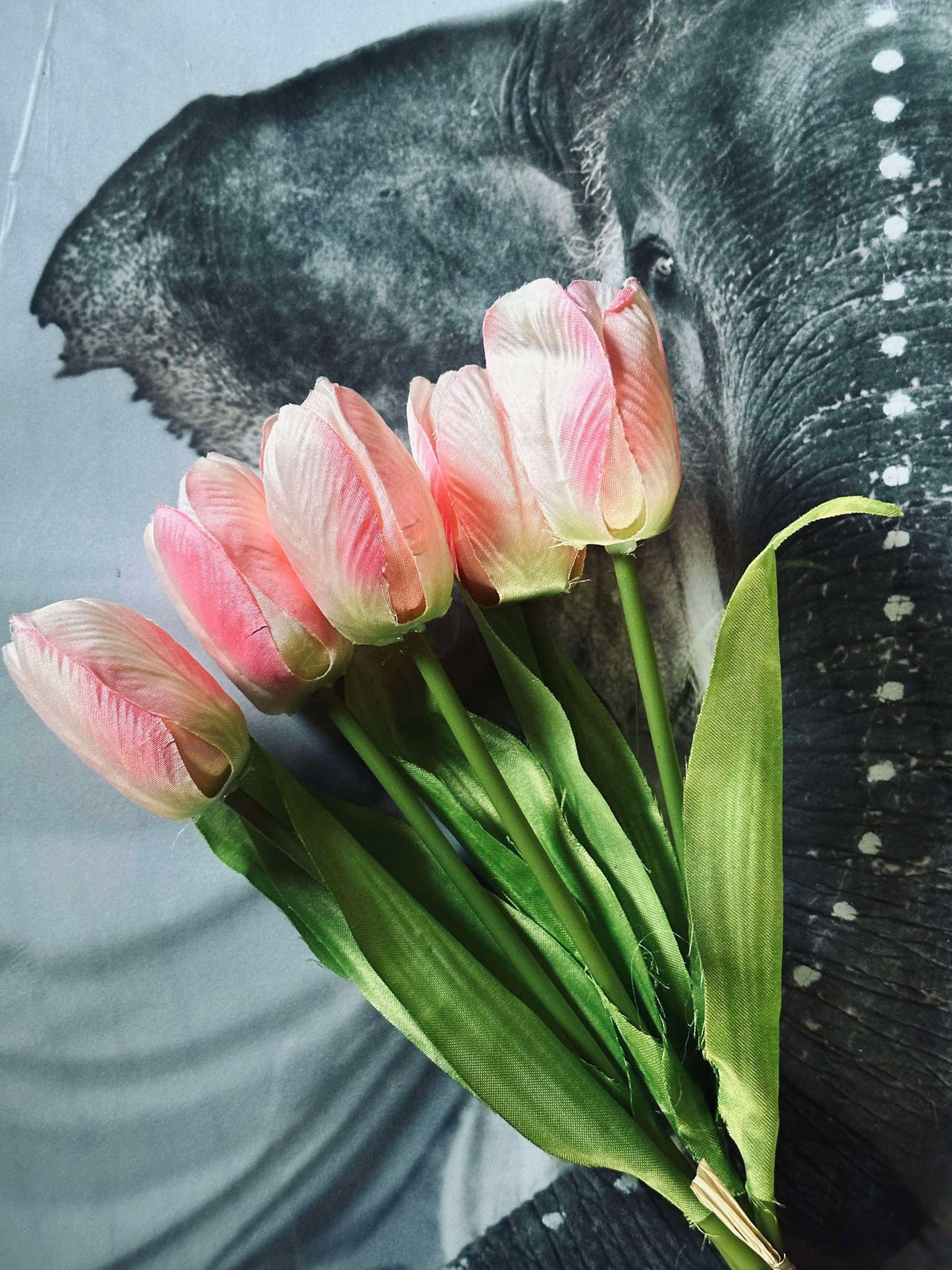 Tulpen Roze