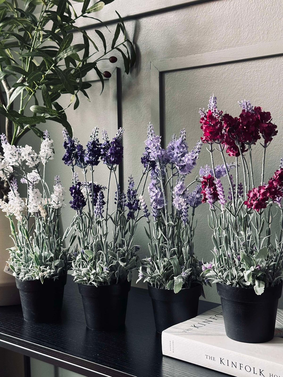 Lavendel 40cm - Lichtpaars