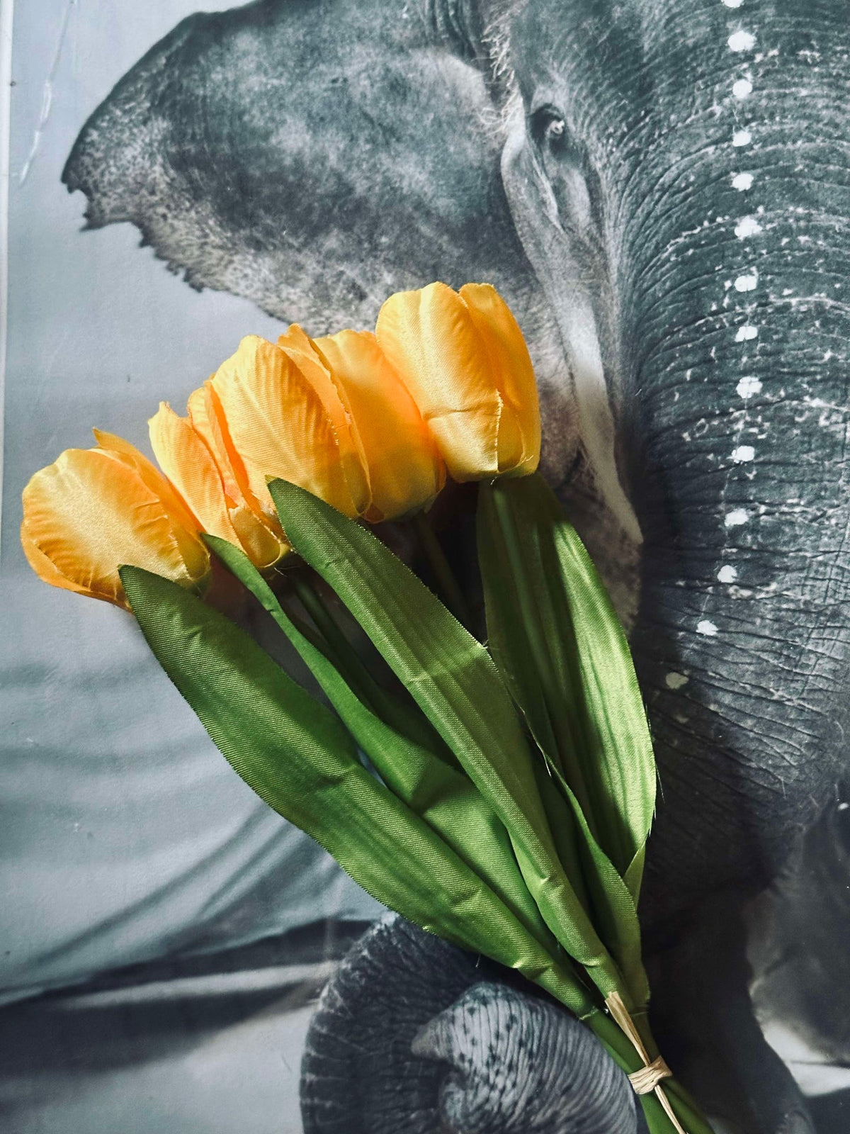 Tulpen Geel
