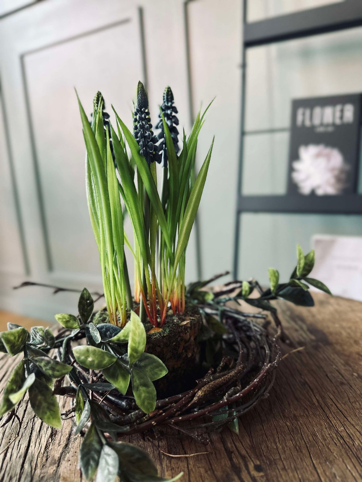 Bloem Druifhyacint