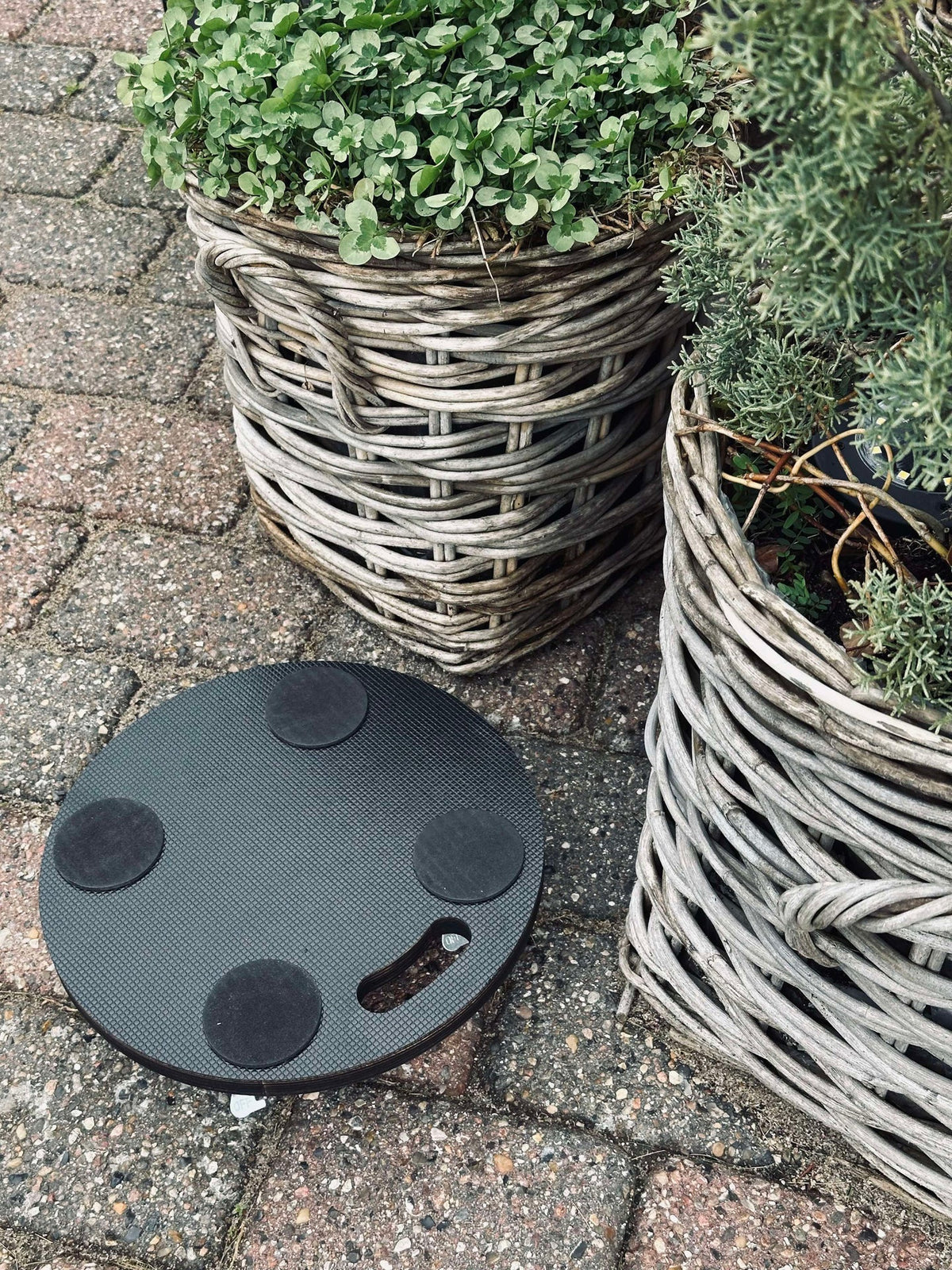 Plantenrolwagen - max. 150 kg