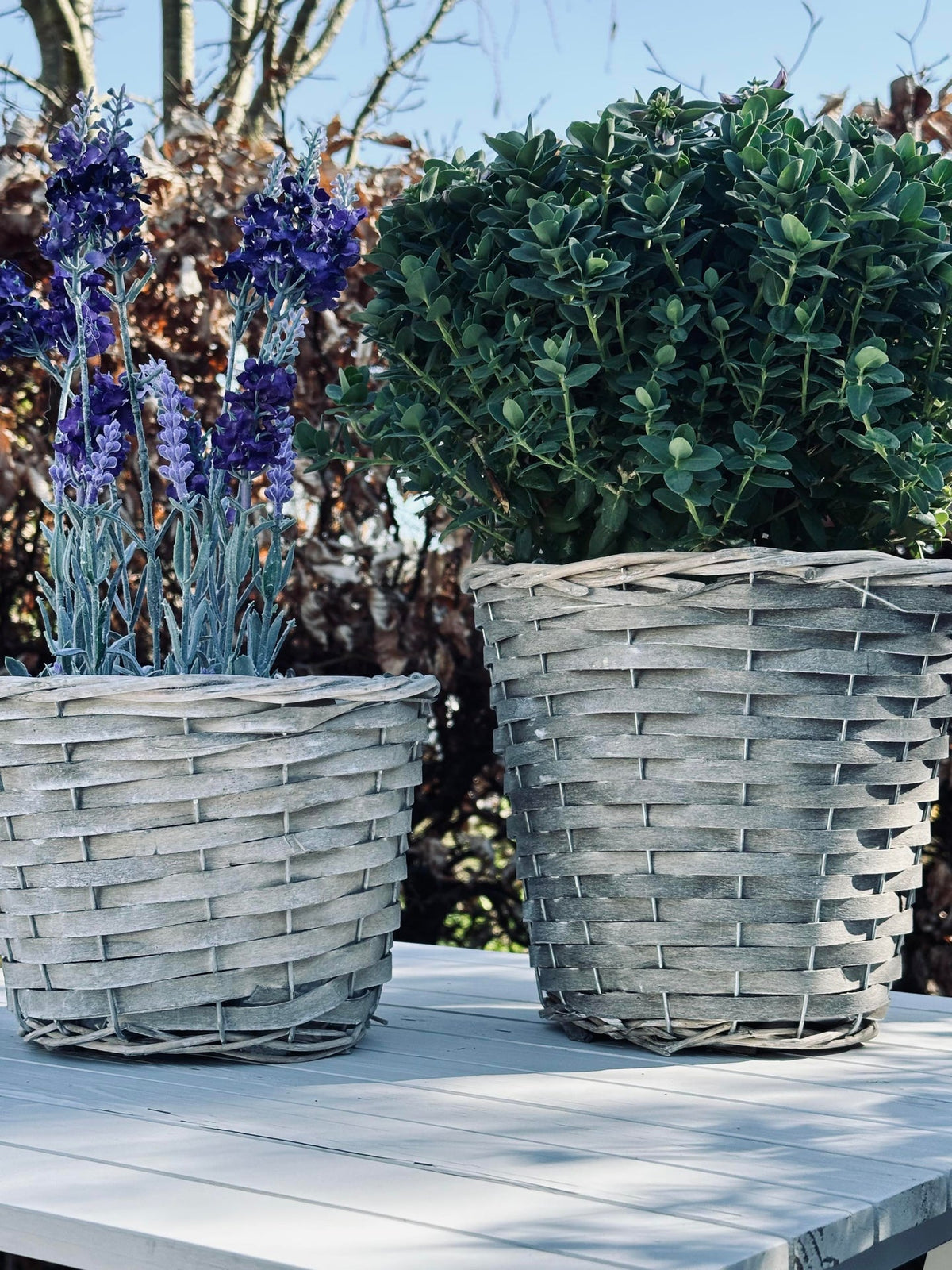 Plantenmand 15 cm