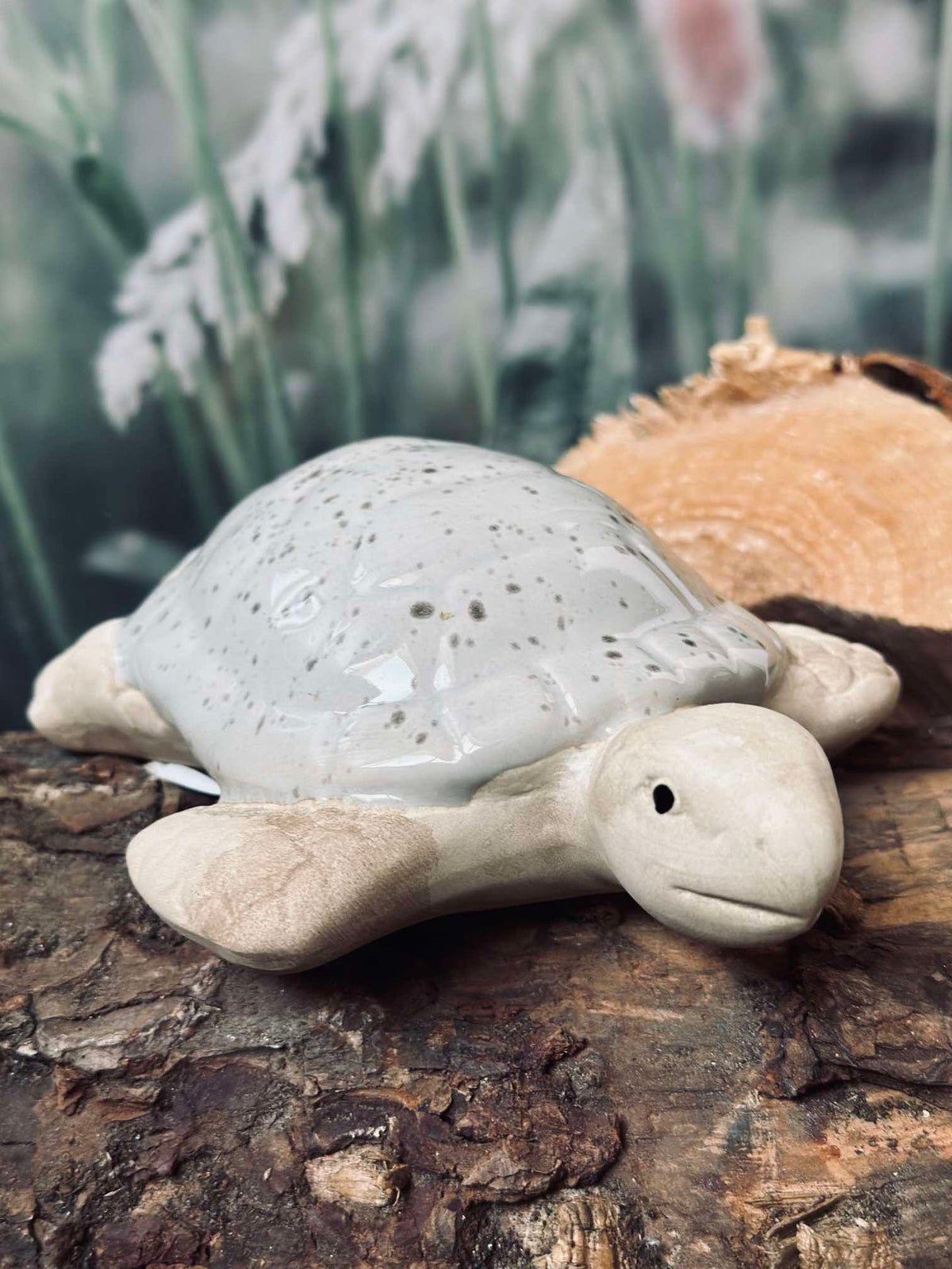 Schildpad MIX