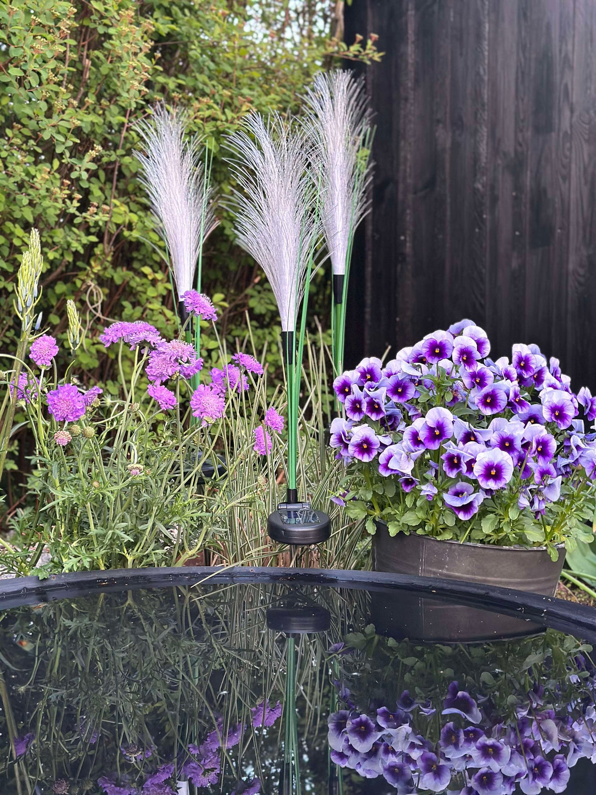 Pampas met zonnecellen