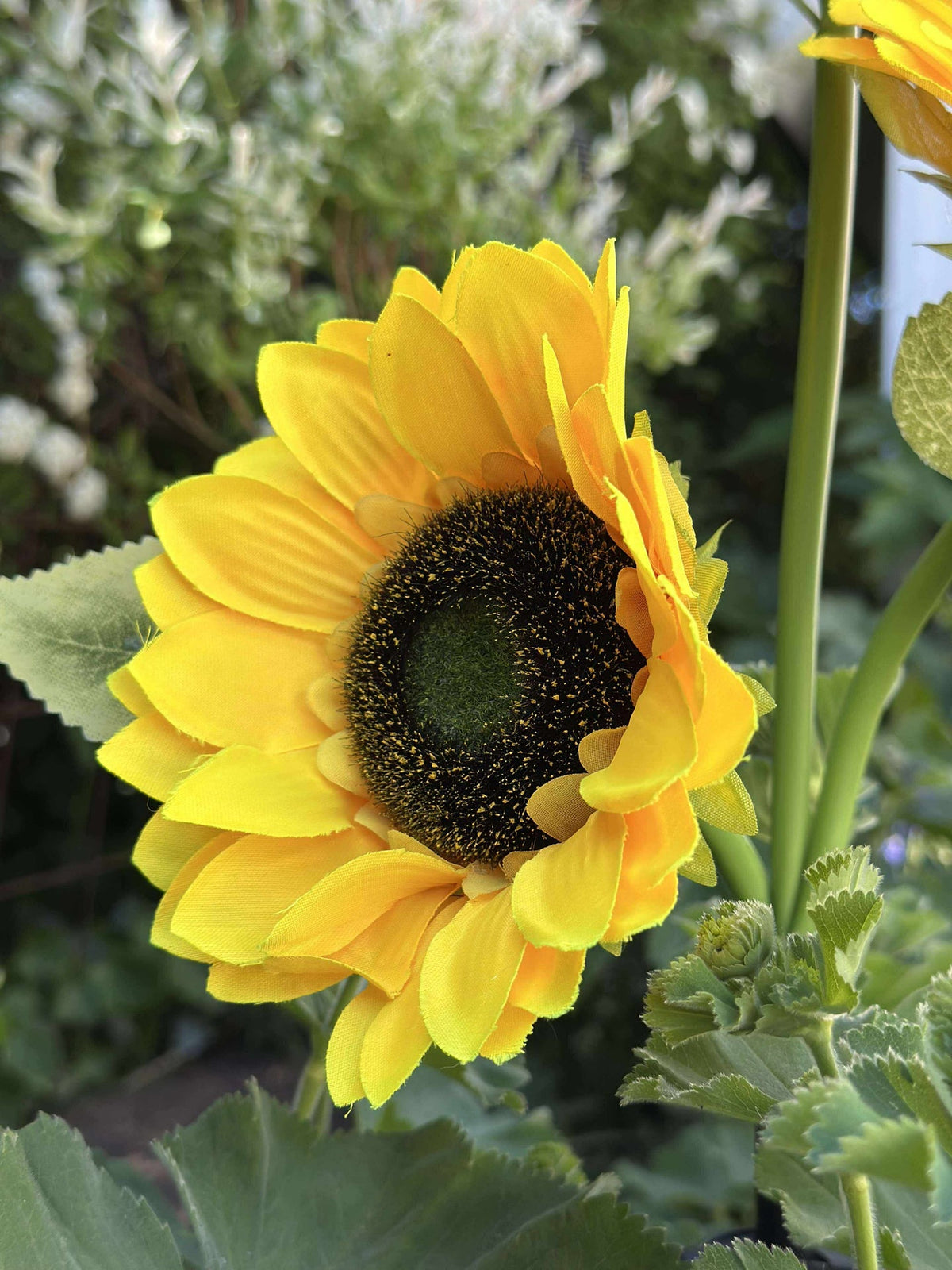 Zonnebloem op zonne-energie