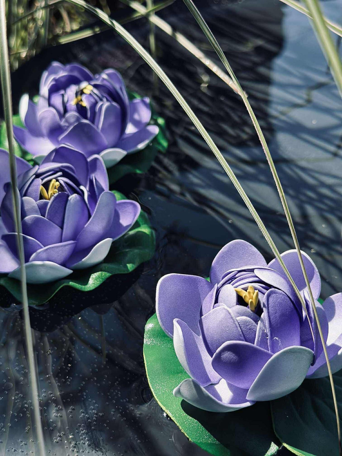 Lotus - Meerdere kleuren