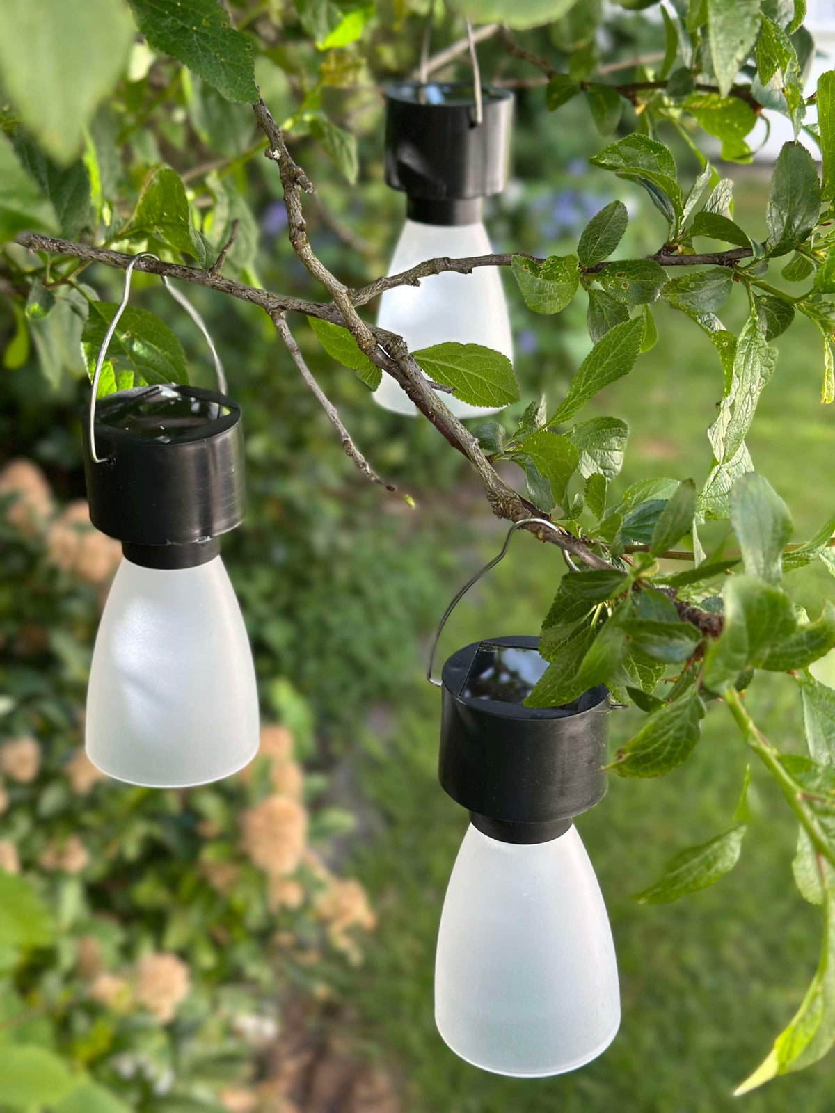 Mini lamp op zonne-energie