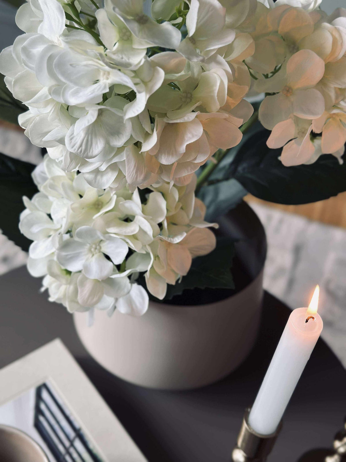 Hortensia in pot - Wit
