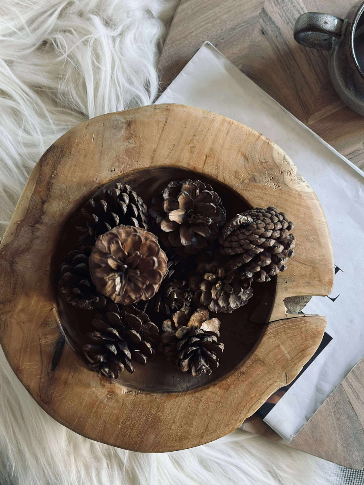 Dennenappels in zak - 200 gram.