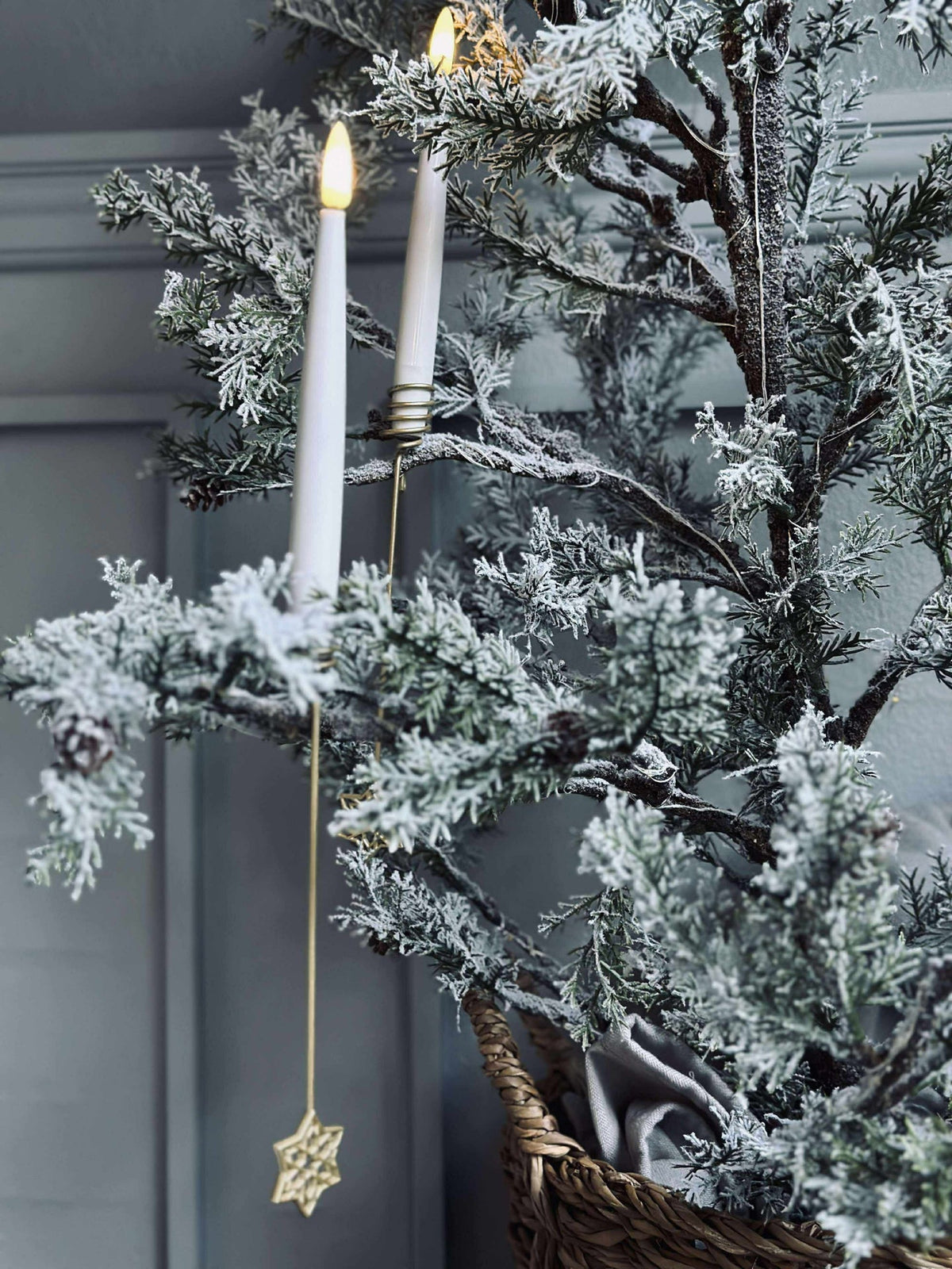 Kaarshouder voor kerstboom STAR - 6 st.