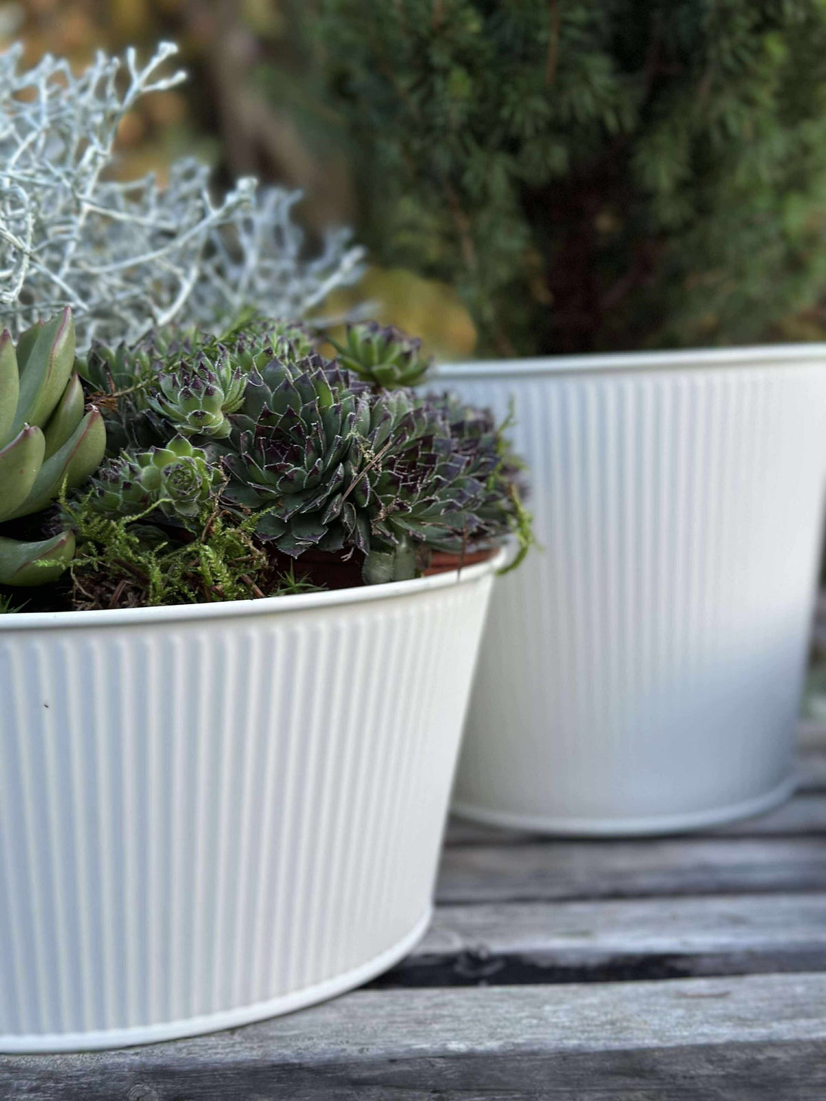 Ronde plantenpot met ribbels