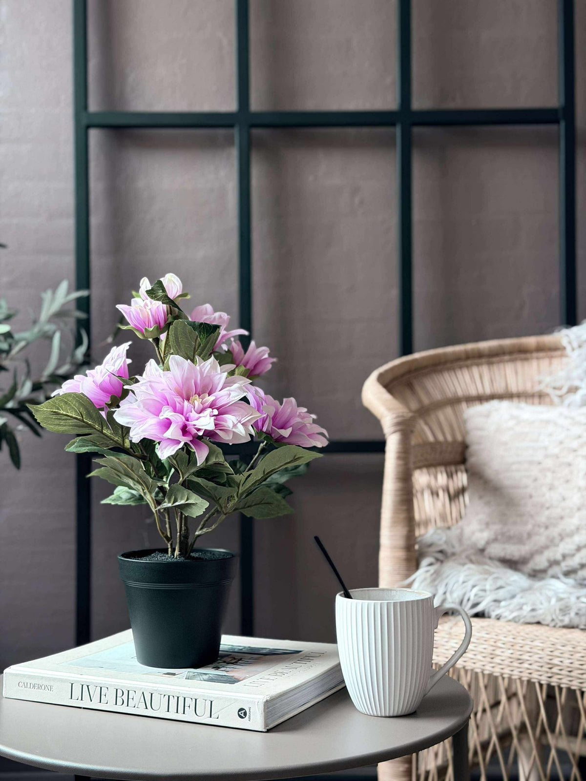 Dahlia in pot - Roze