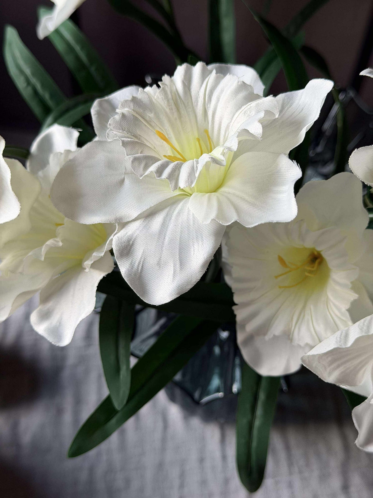 Narcisstengel - Wit