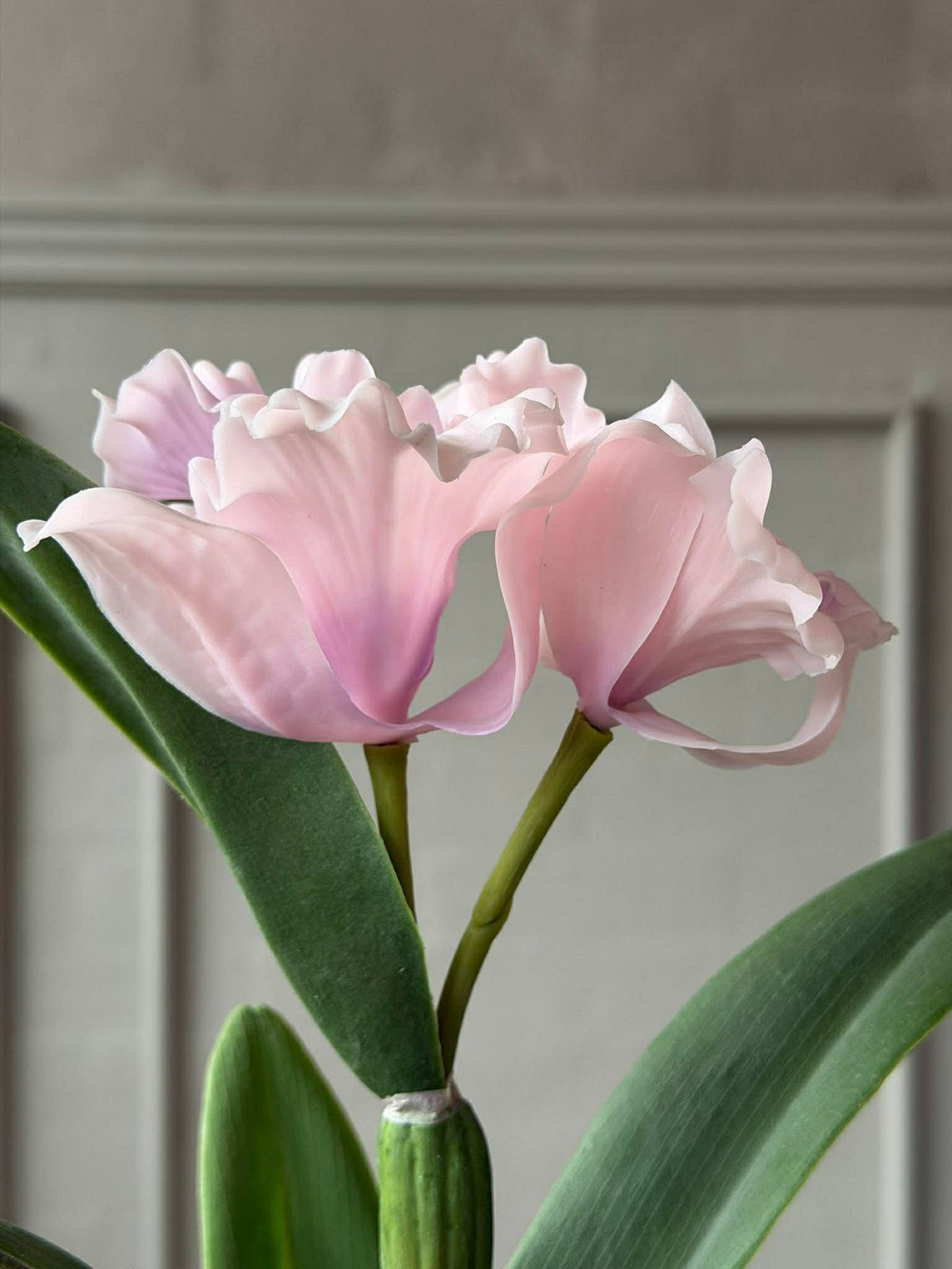 Orchidee in Pot Roze - Meerdere maten