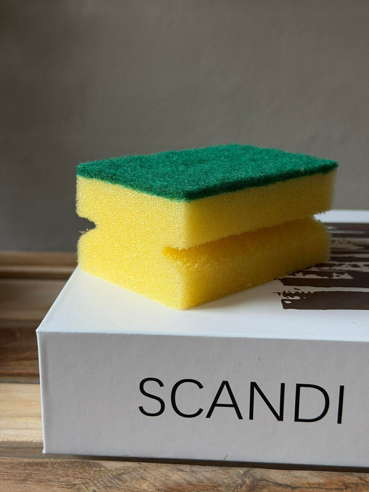 Schuursponsjes - Set van 10 stuks