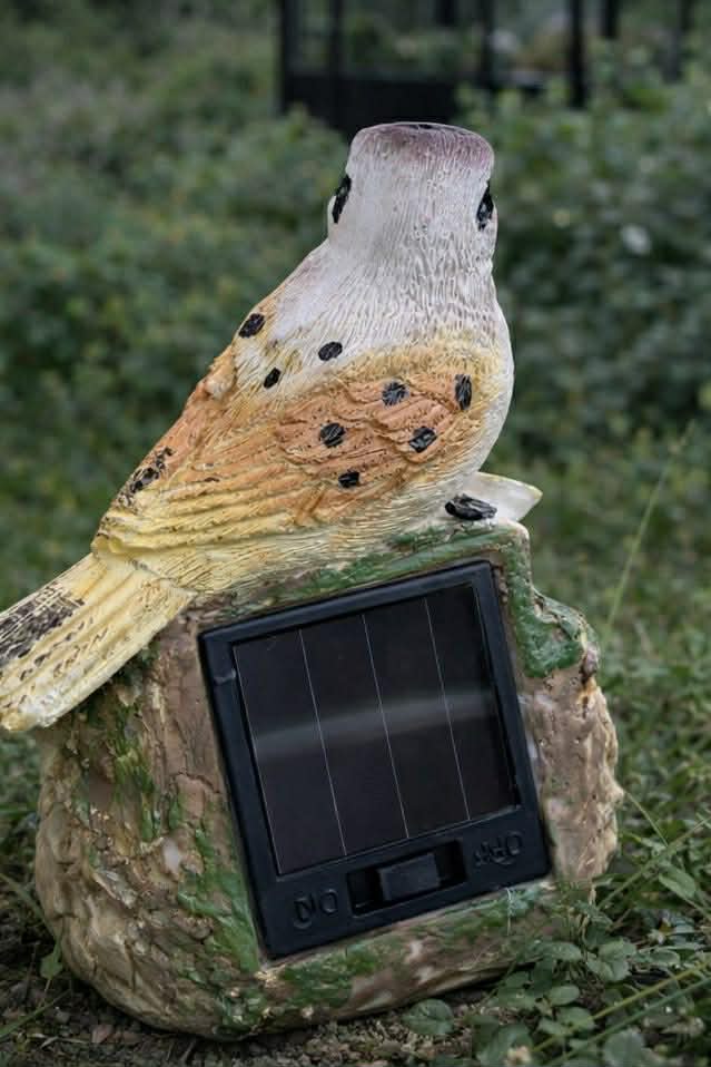 Zonnesteen met Vogel - COLOR MIX