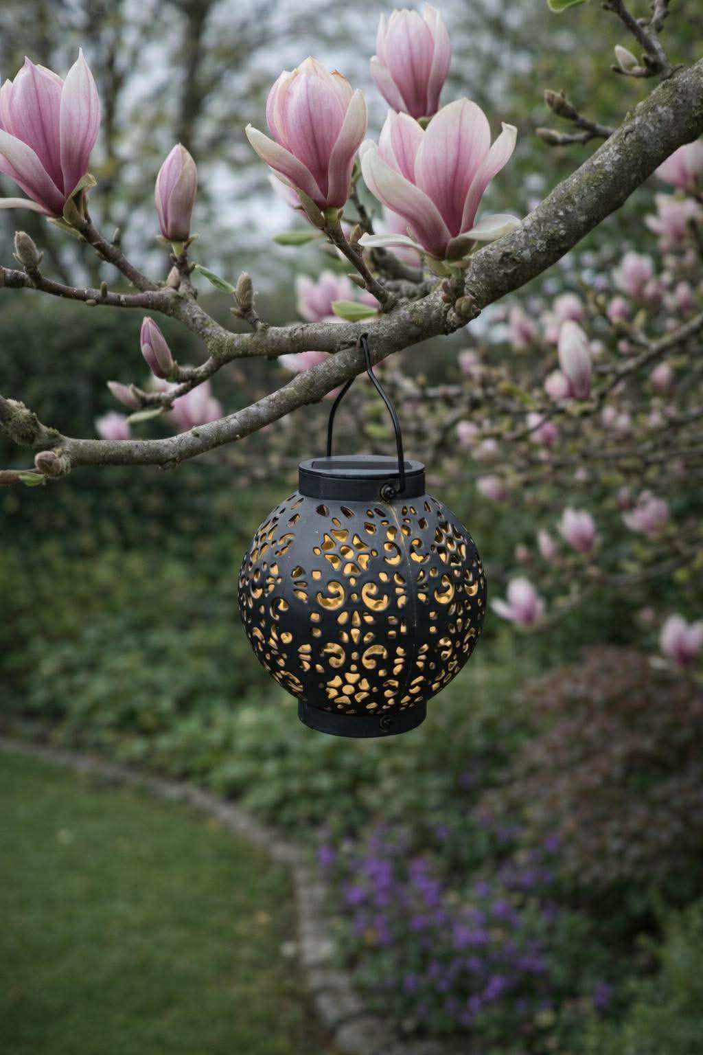 Lantaarn met zonnecellen - Alva black