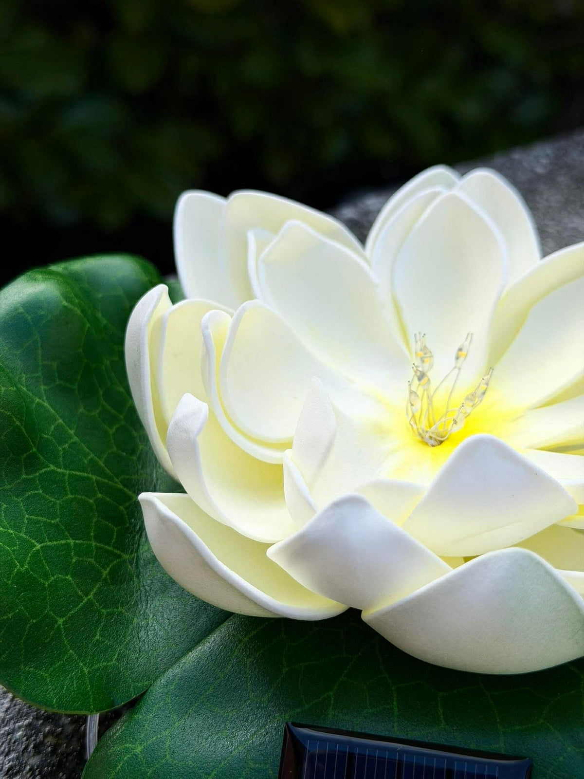 Solar LOTUS – Wit