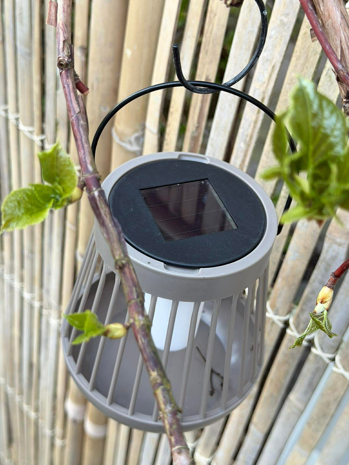 Lantaarn Emily met solar - Meerdere kleuren