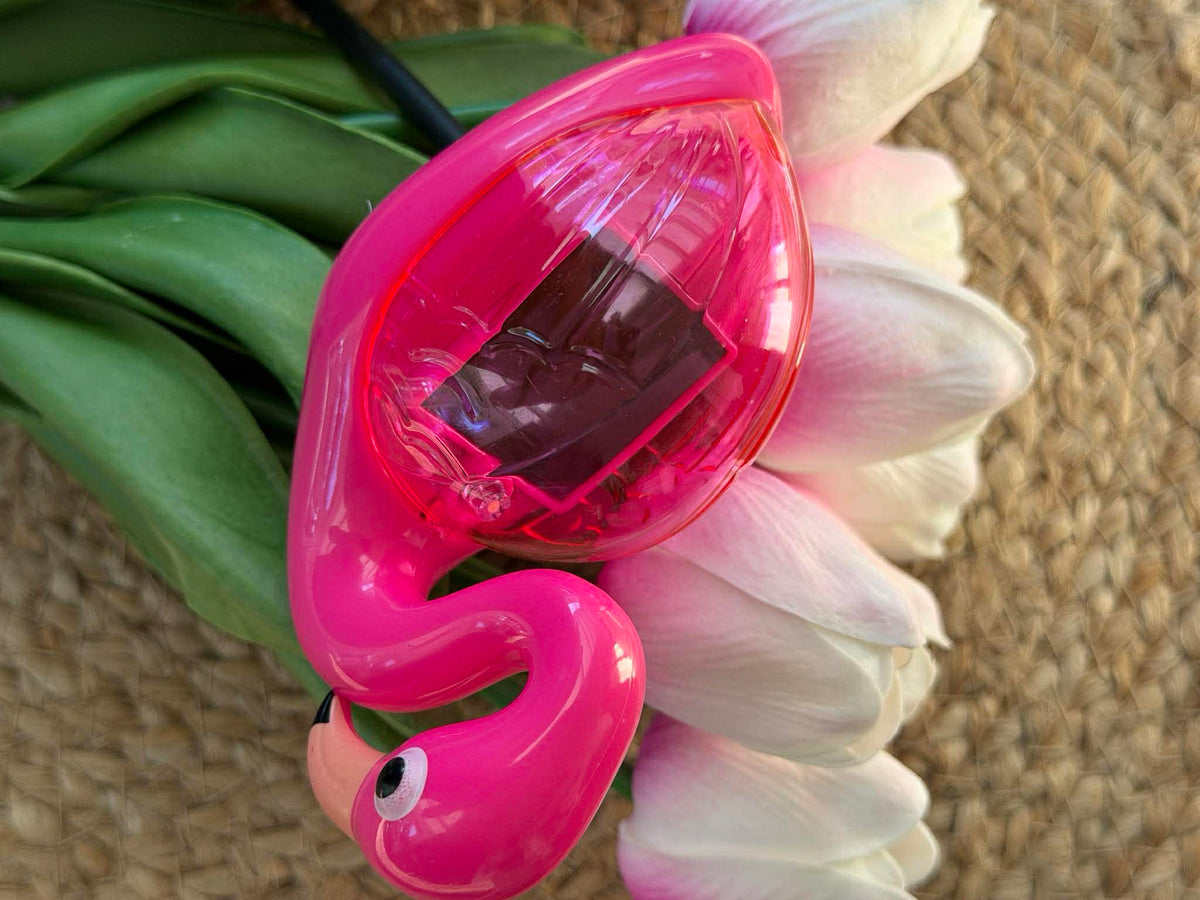 Flamingo op spies - Solar