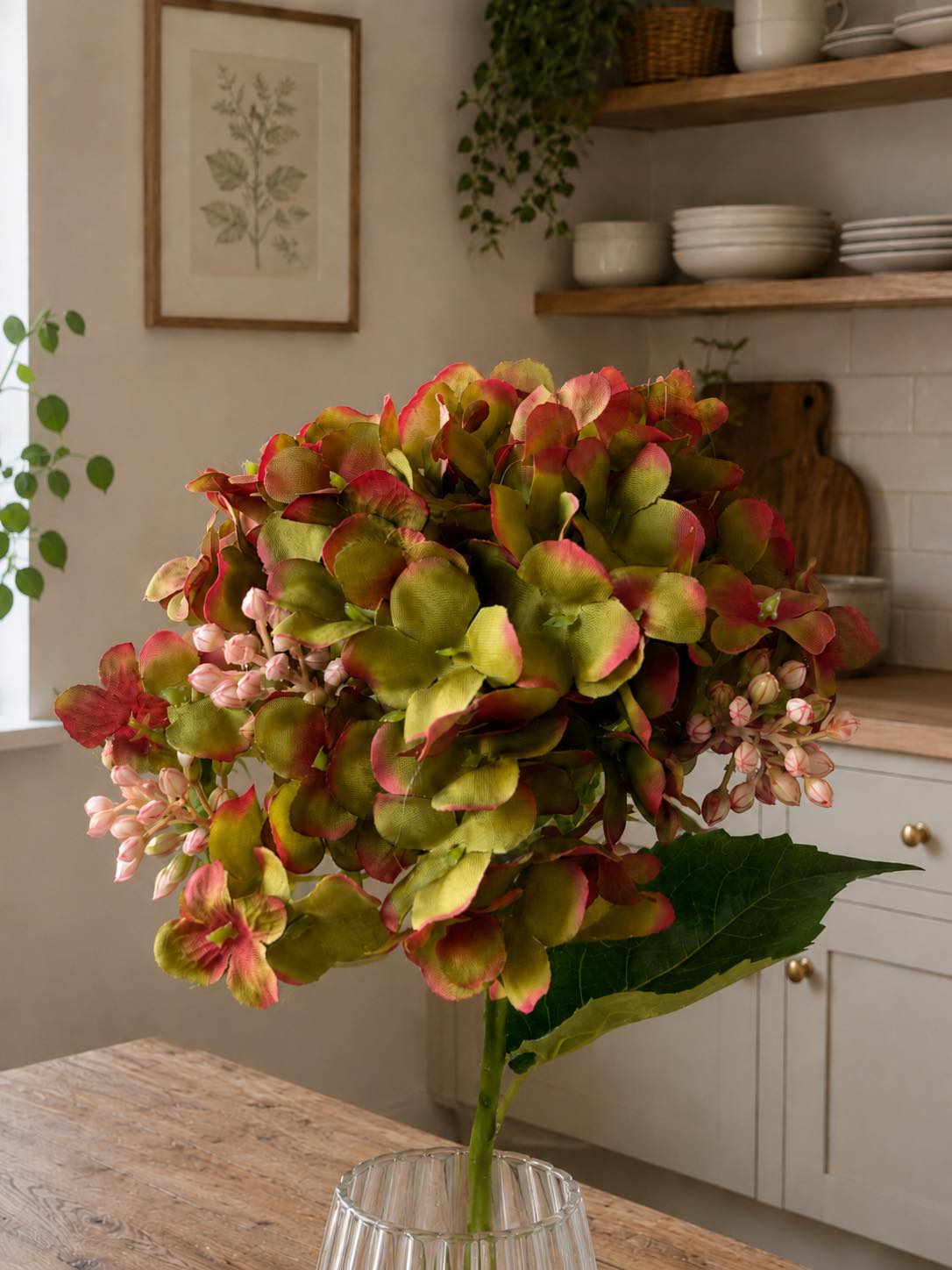 Hortensia groen - 48 cm