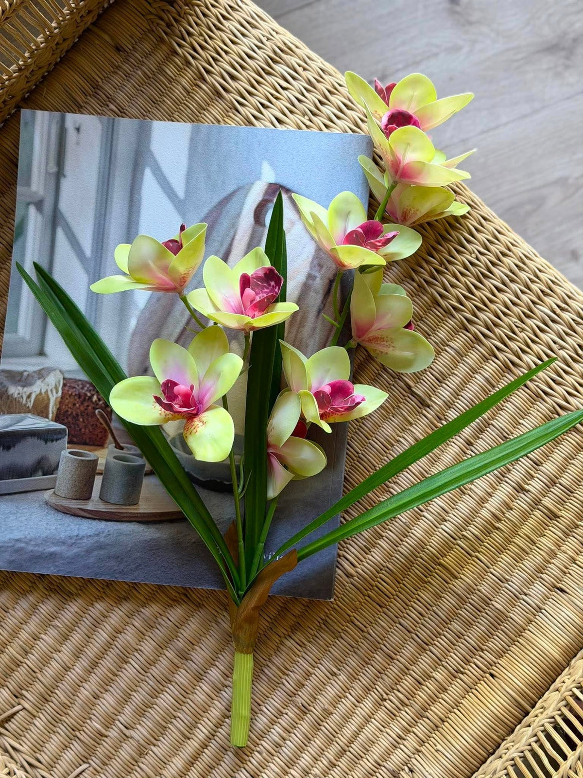 Orchidee steel - 43 cm Roze / geel