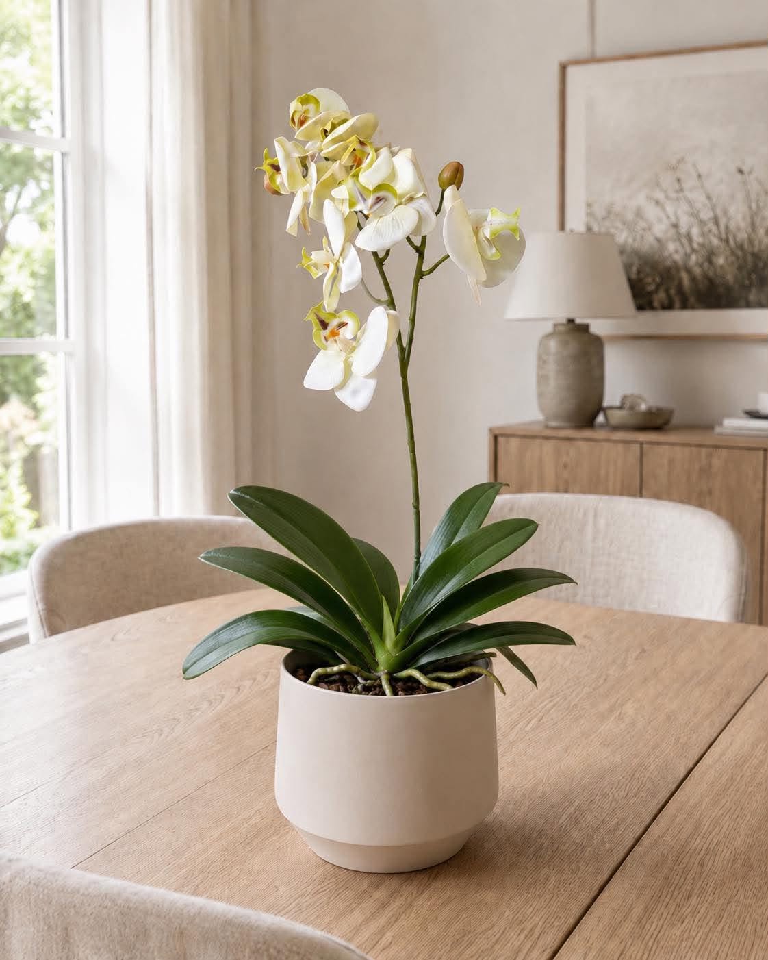 Orchideeënstengel - 41 cm - Wit