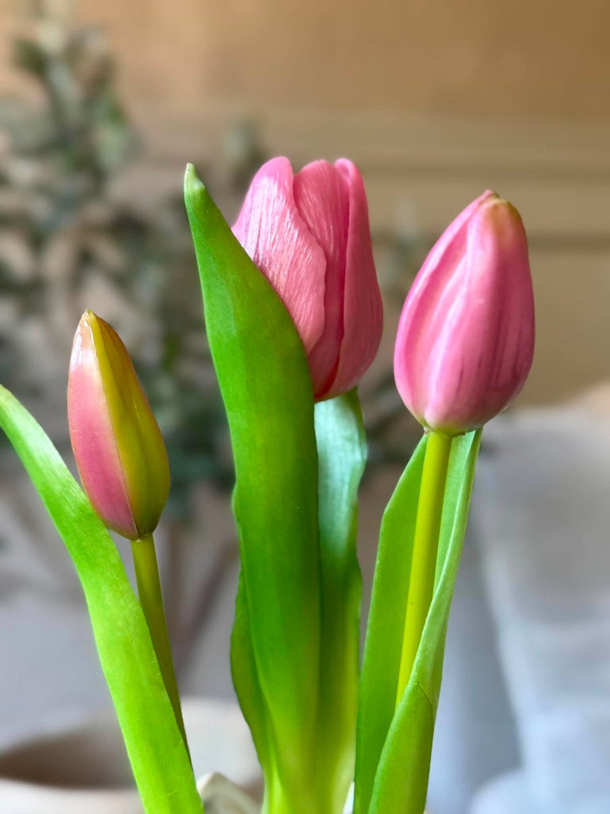 Tulp in pot - Donkerroze met 3 bloemen