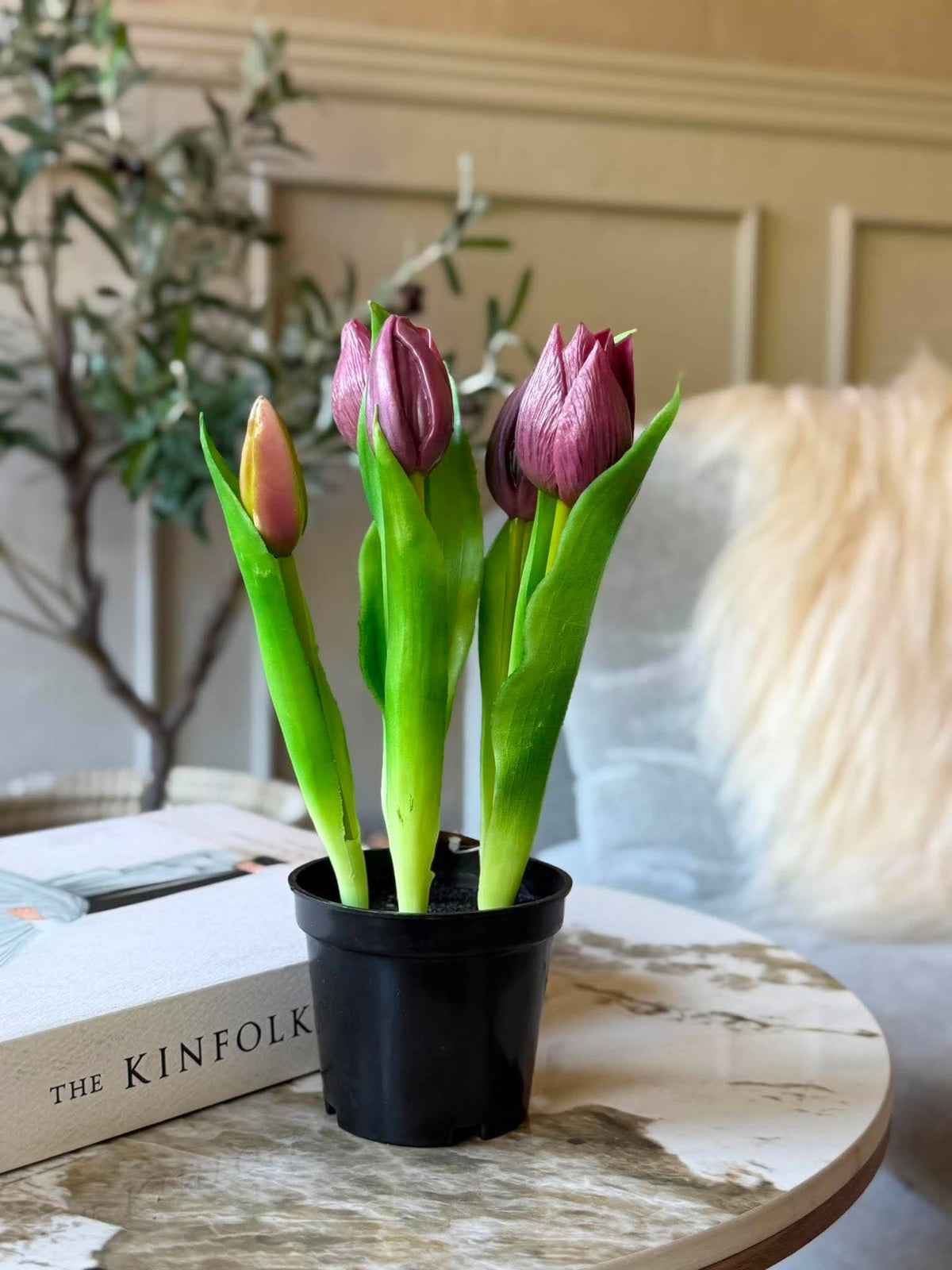 Tulp in pot - Paars met 5 bloemen