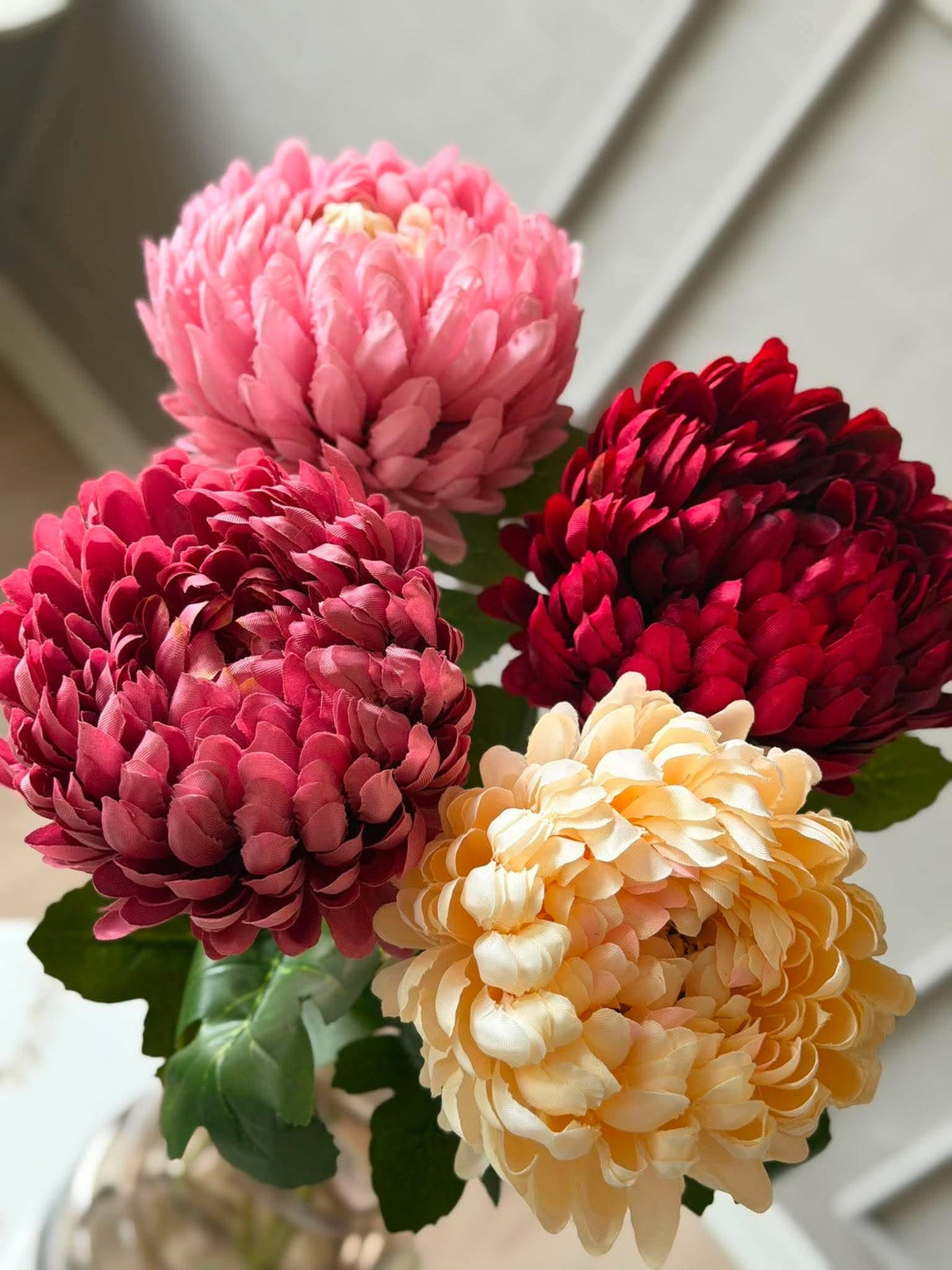 Chrysant - Color mix