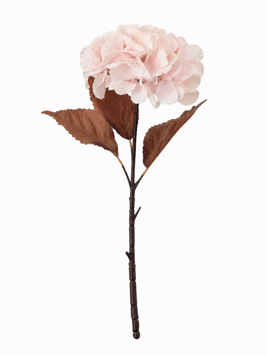 Hortensia 49 cm - Poeder