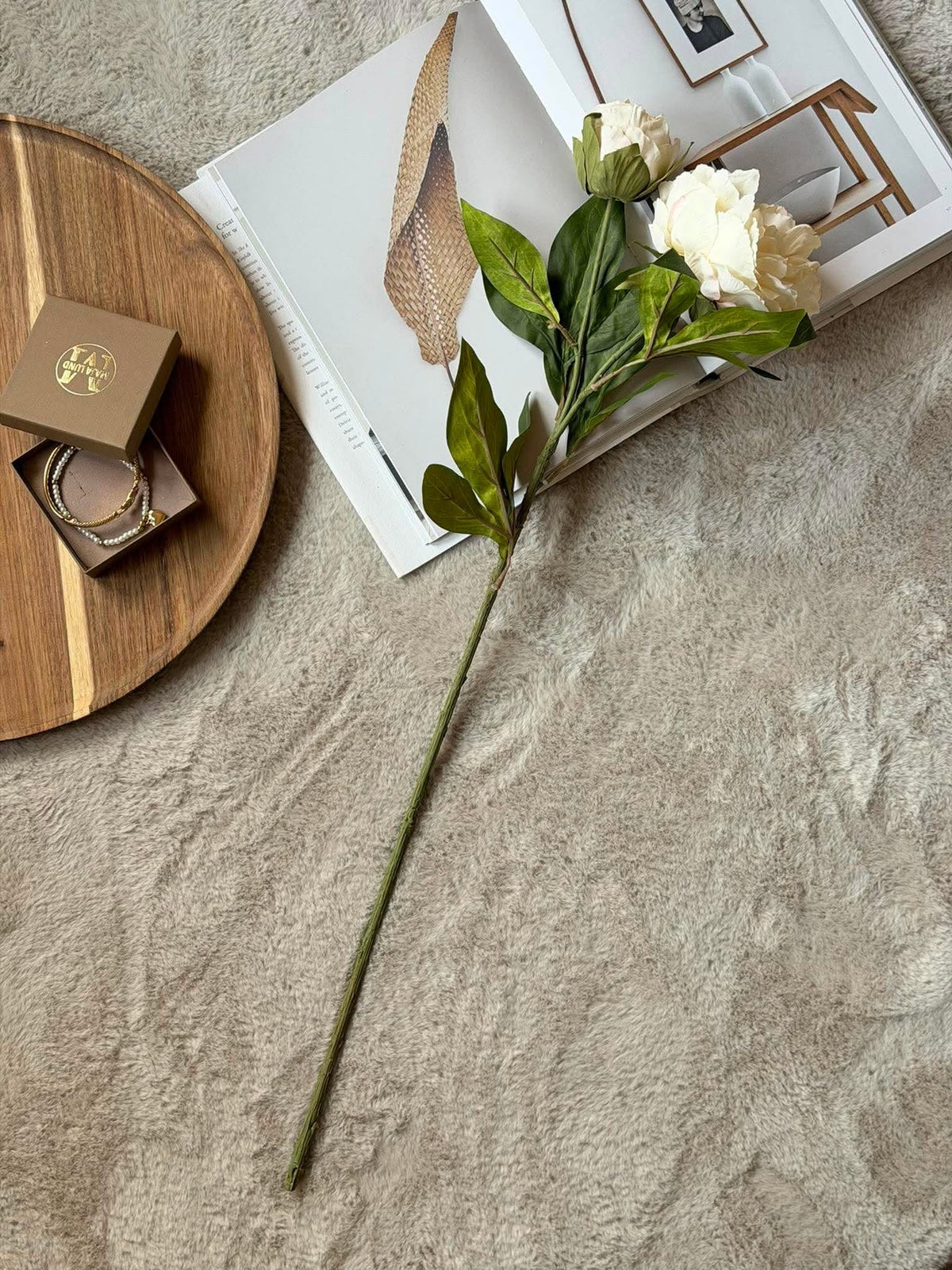 Pioen 69 cm - crème