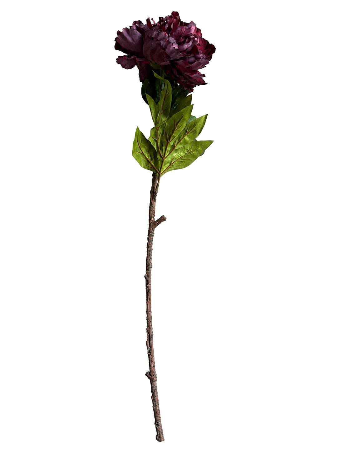 Pioenstengel 72 cm - Bordeaux