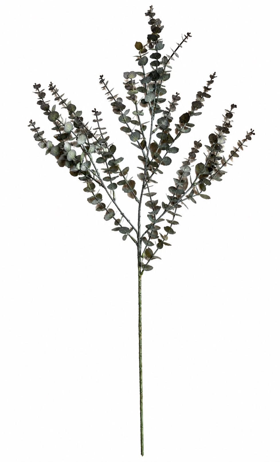 Ciprestak 82 cm - Groen