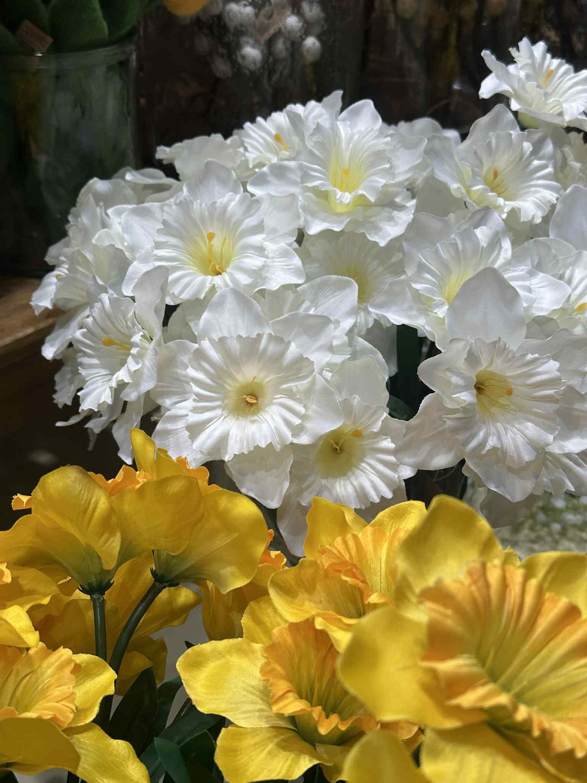 Narcis - Geel