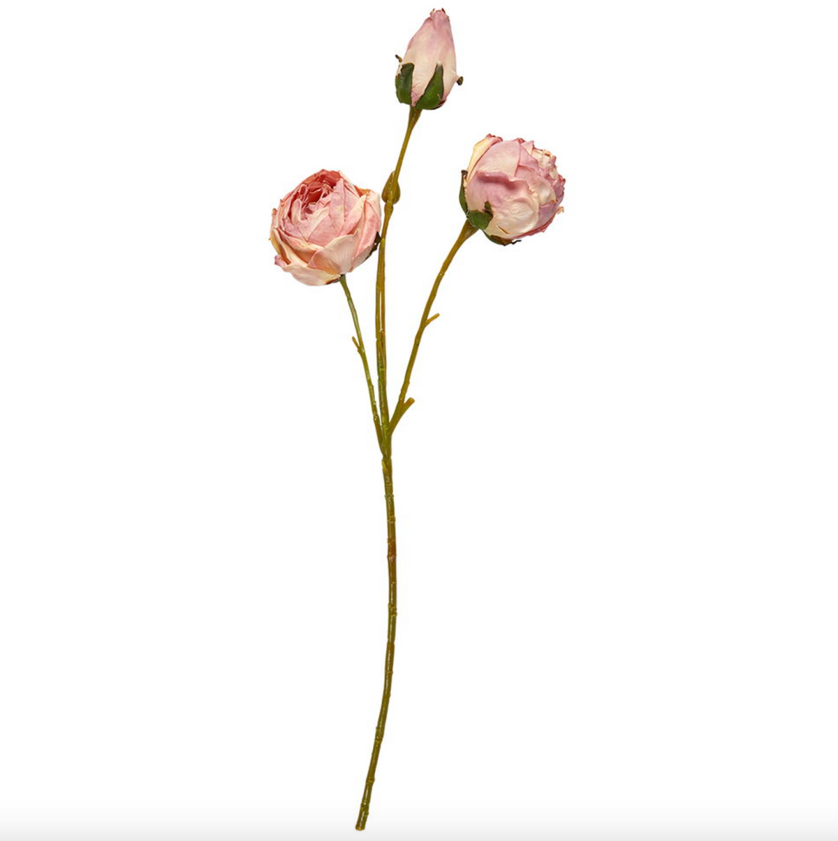 Rose tak