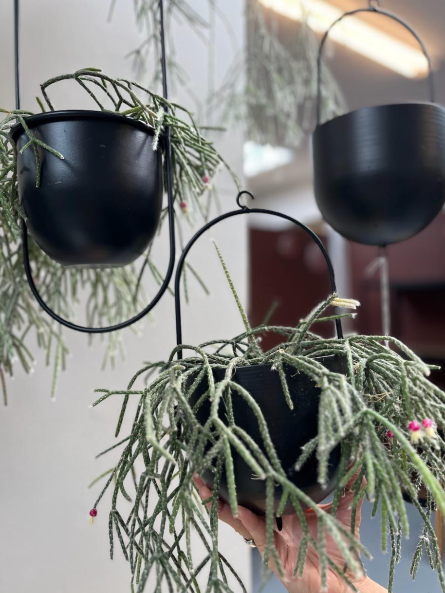 Pot met ophanging - Black