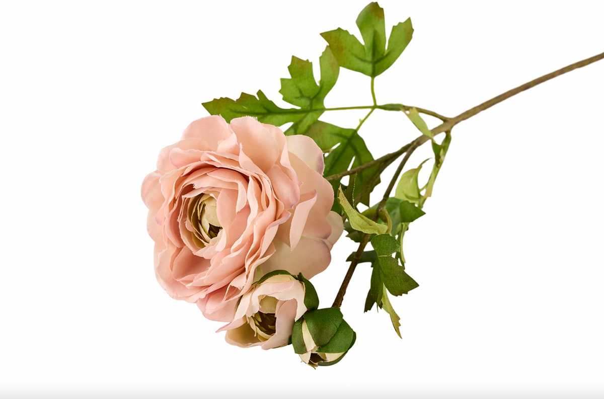 Ranonkel 50 cm - Roze