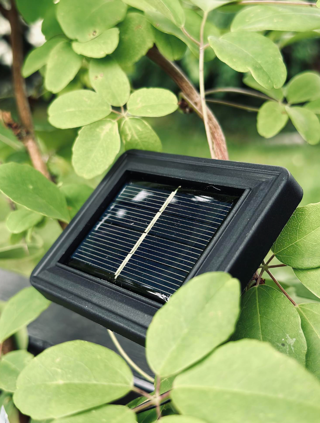 Lichtsnoer BELLA met zonnecellen en 15 lampen