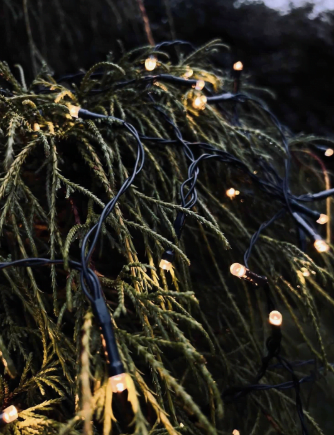 Lichtslinger met zonnecellen en USB - 240 LED-lichtjes