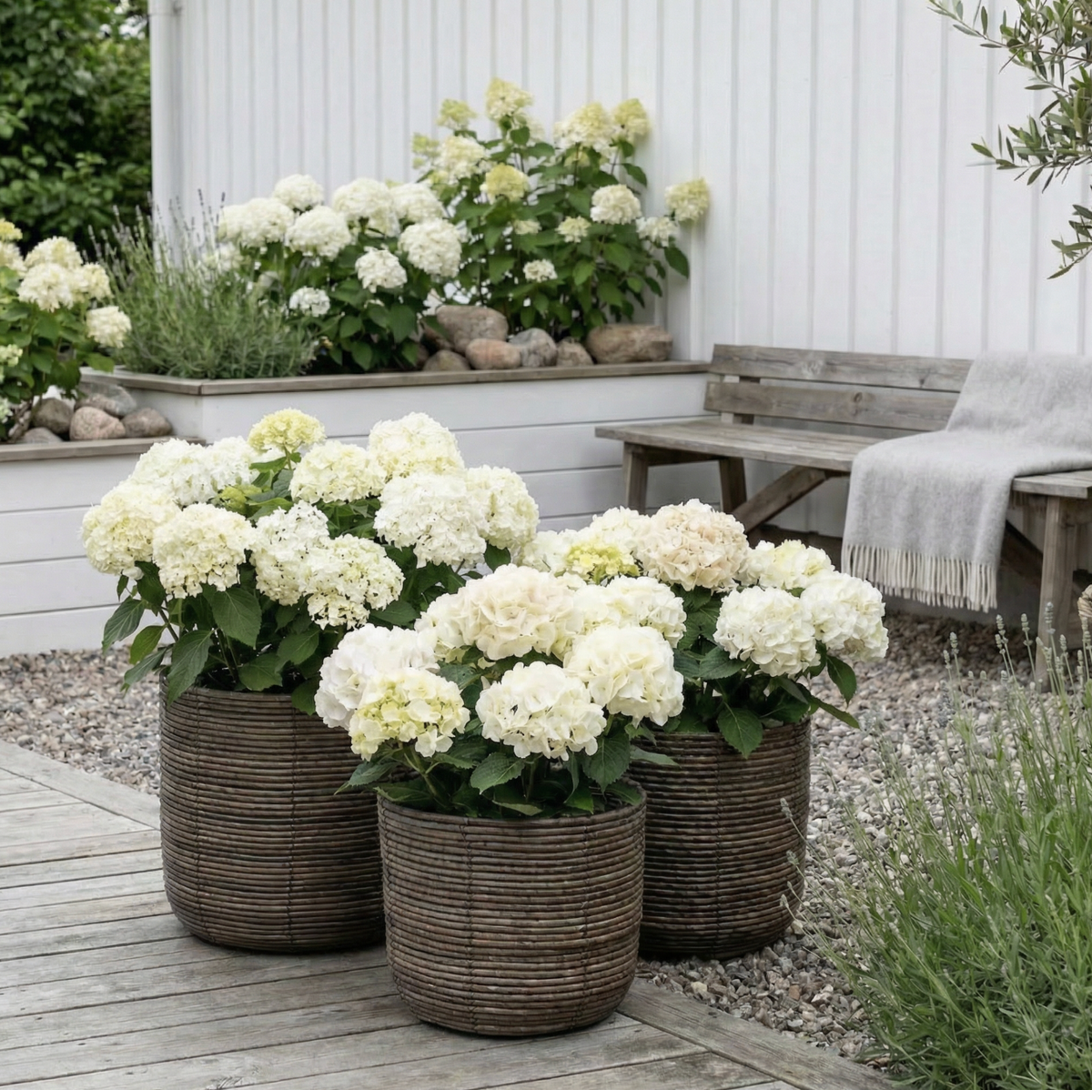 Plantekurve DARK RATTAN - meerdere maten