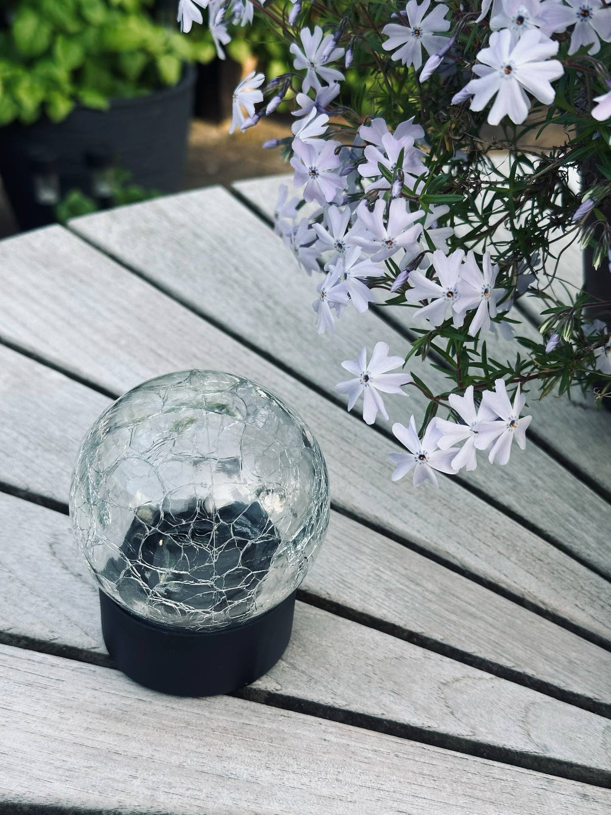 Solar glazen bol - Zwarte voet