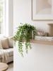 Decoratieve hangplant - Groen